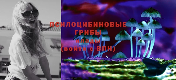 герыч Арсеньев