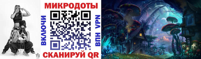 Галлюциногенные грибы Psilocybe  Бавлы 